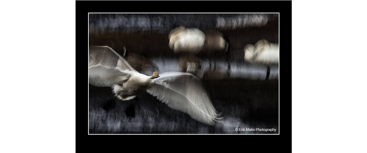 image taken be Erik Malme